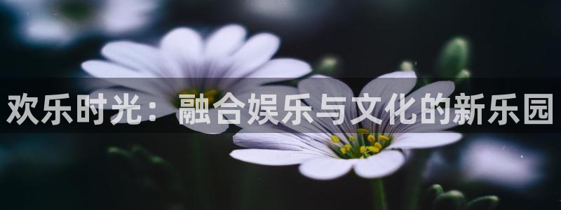 恩佐娱乐：欢乐时光：融合娱乐与文化的新乐园