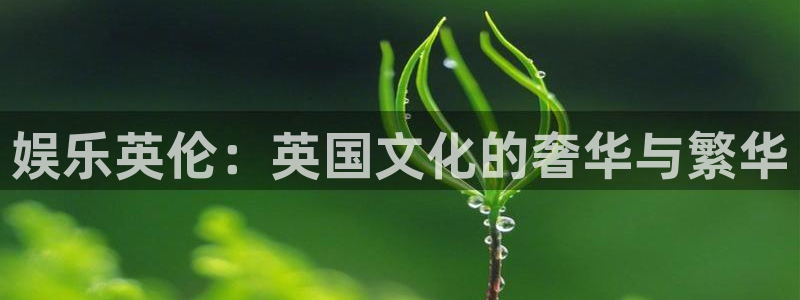 恩佐娱乐：娱乐英伦：英国文化的奢华与繁华