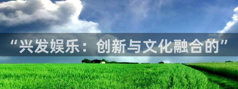 恩佐娱乐：“兴发娱乐：创新与文化融合的”