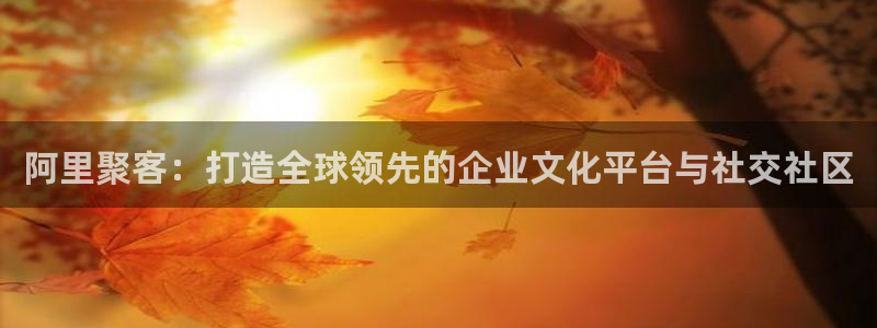 恩佐娱乐：阿里聚客：打造全球领先的企业文化平台与社交社区