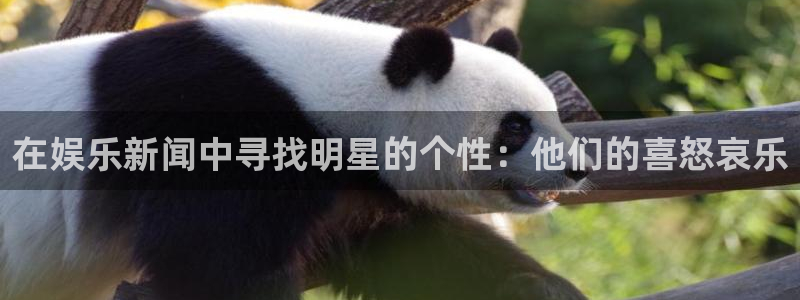 恩佐娱乐：在娱乐新闻中寻找明星的个性：他们的喜怒哀乐