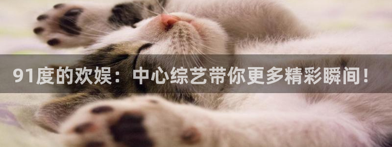 恩佐娱乐：91度的欢娱：中心综艺带你更多精彩瞬间！