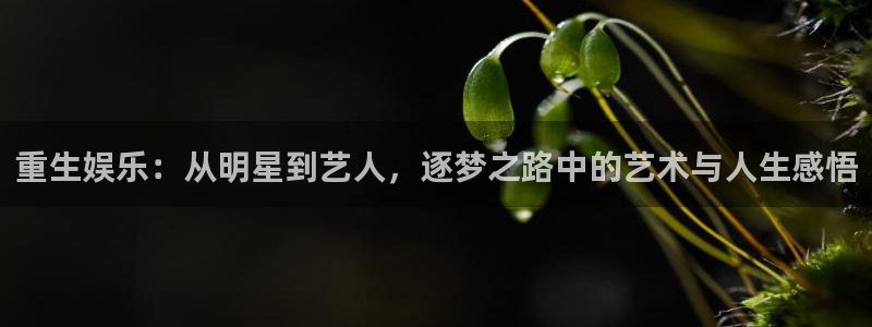 恩佐娱乐：重生娱乐：从明星到艺人，逐梦之路中的艺术与人生感悟