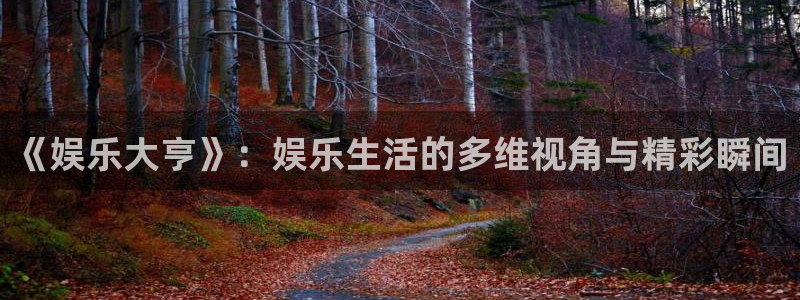 恩佐娱乐：《娱乐大亨》：娱乐生活的多维视角与精彩瞬间